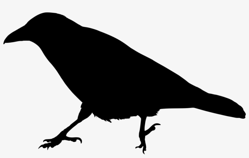 Common Raven Crow Family Bird Silhouette - Raven Clipart, transparent png