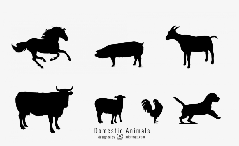 Vector Image Domestic Animal Silhouette Png File - Horse, transparent png