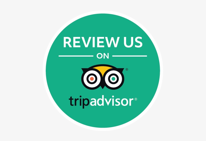 Find Out What Other Folks Are Saying About Us, Or Leave - Tripadvisor Interactive Luggage Tag - Tripadvisor Owl, transparent png