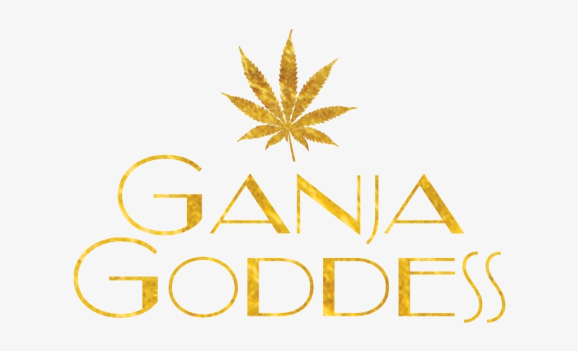 Are You 21 Or Older - Goddess Png, transparent png