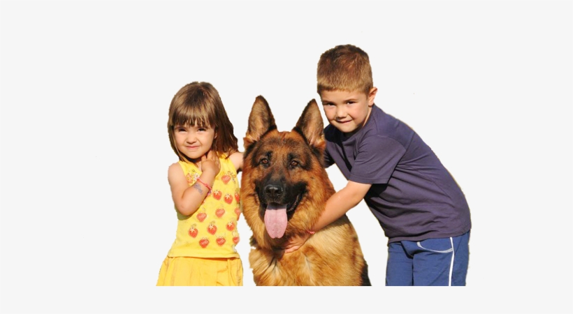 Home Protection Dogs Blog - German Shepherd, transparent png