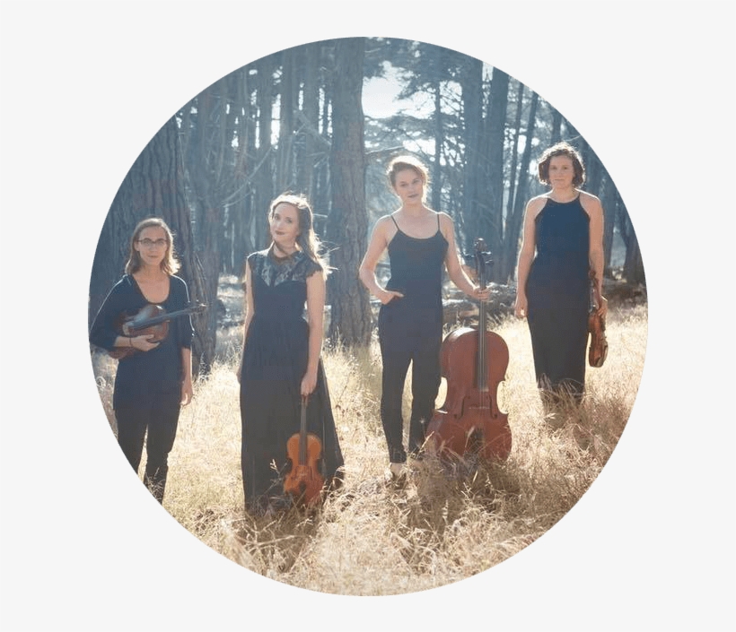 Amaranth Quartet - Collin Kriner, transparent png
