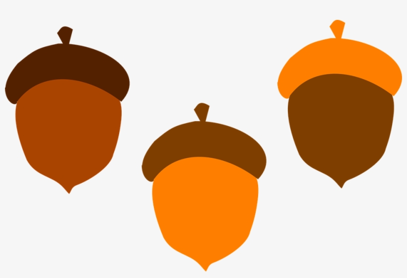 Fall Family Cliparts 6, Buy Clip Art - Acorns Clipart, transparent png