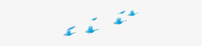 10 - Blue Bird Picsart, transparent png