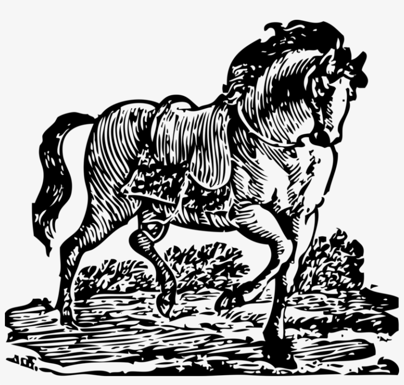 Horse Pony Download Equestrian Watercolor Painting - Woodcut Horse, transparent png