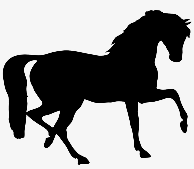 Stallion Clipart Transparent - Horse Silhouette Png, transparent png
