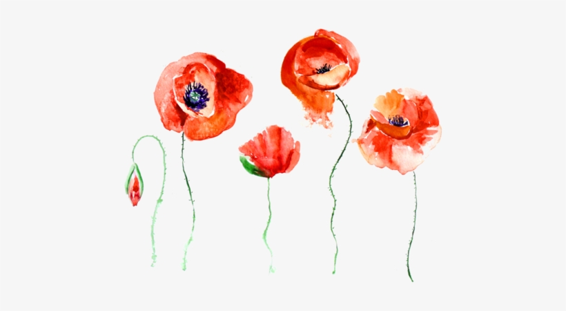 Overlay Image - Still Death Still Life [book], transparent png