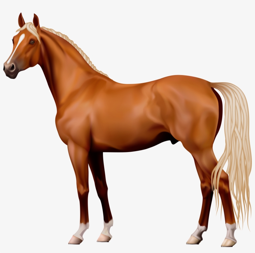 Brown Horse Png Clipart - Horse Png, transparent png