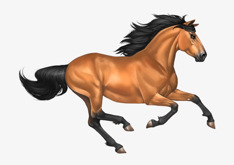 Mustang Horse Png Image - Transparent Background Horse Clipart, transparent png