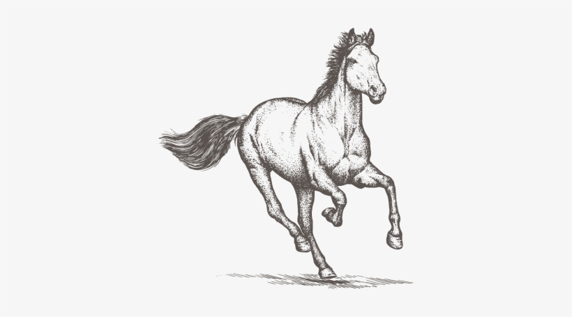 Horse Png Clipart - Horse Engrave, transparent png