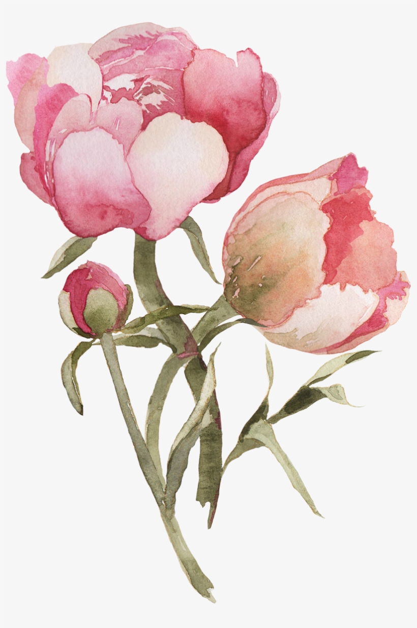 Img 5670 - Water Painting Flower Png, transparent png