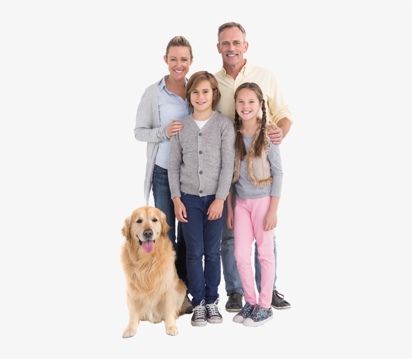 Stock Photography, transparent png