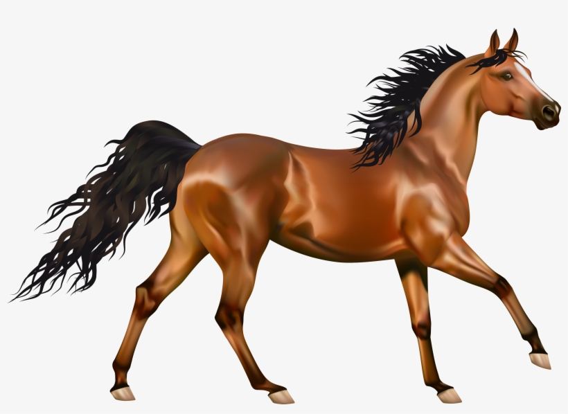 Transparent Brown Horse Png Clipart - ح Words, transparent png