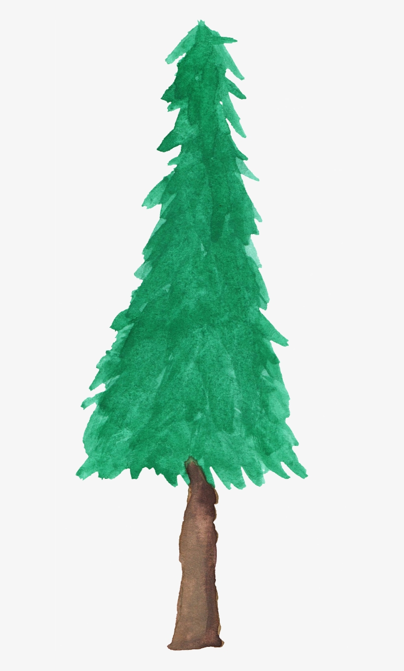 Watercolor Tree Png - Pine Tree Watercolor Png, transparent png