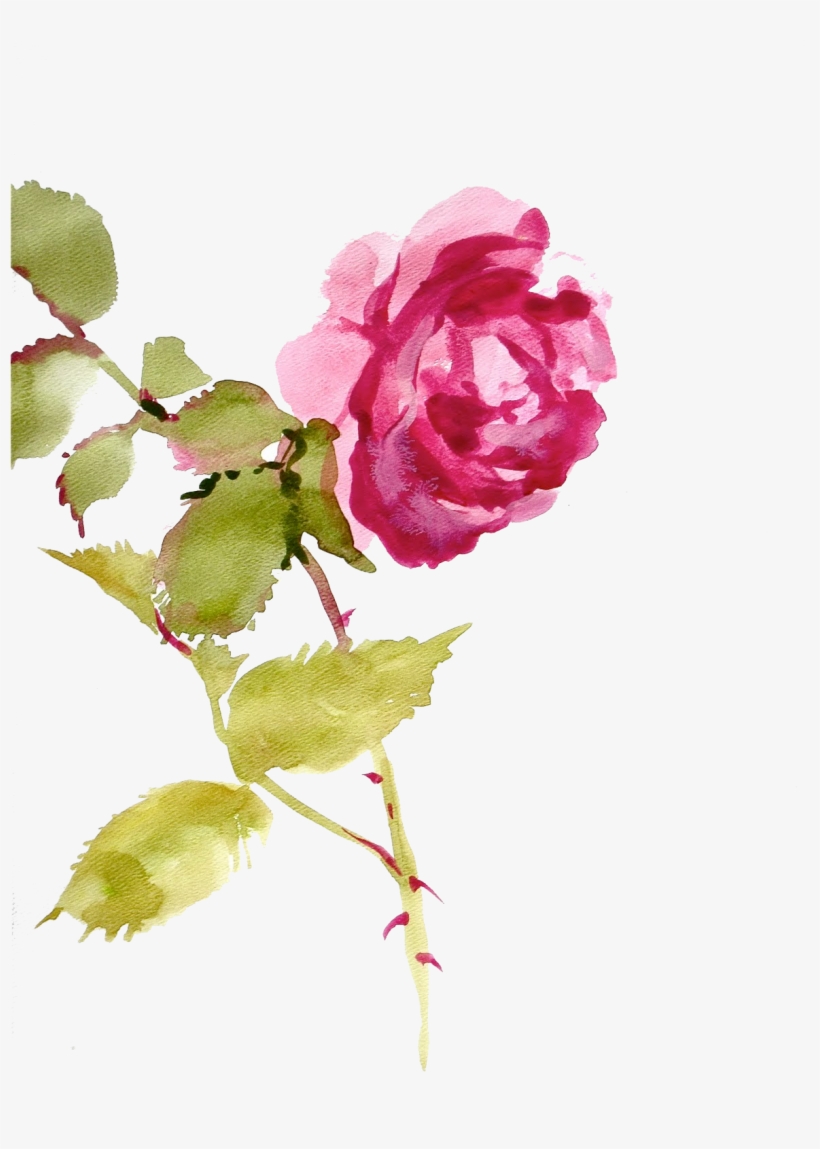Http Jaehos Tumblr Com Post Texture Pack - Watecolor Flowers, transparent png