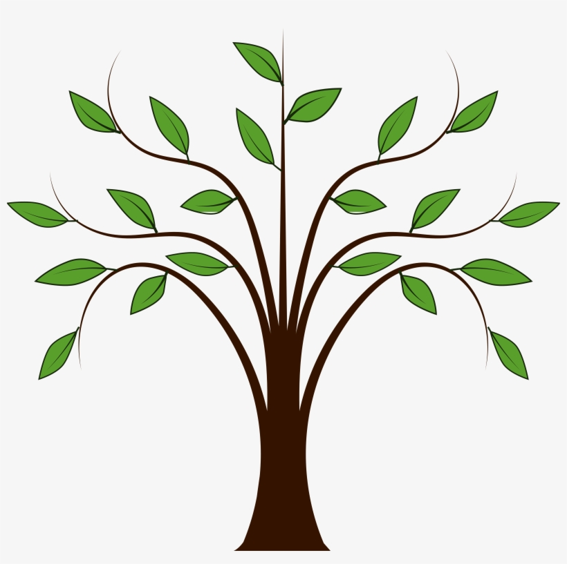 Trees Family Tree Clipart Free Images - Cartoon Tree With Leaves, transparent png