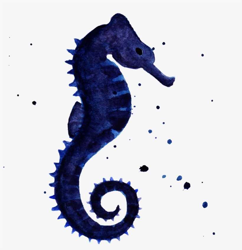 Sea Turtle Sea Horse By Chrystal Elizabeth - Customize Waterproof Seahorse Watercolor Personalize, transparent png