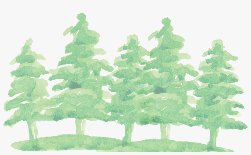 Watercolor Pine Tree Png - Transparent Watercolor Christmas Tree Png, transparent png