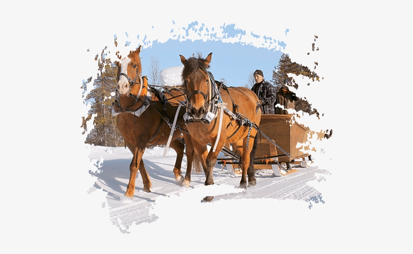 Carousel Horse Sled - One Horse Sleigh Watercolor, transparent png