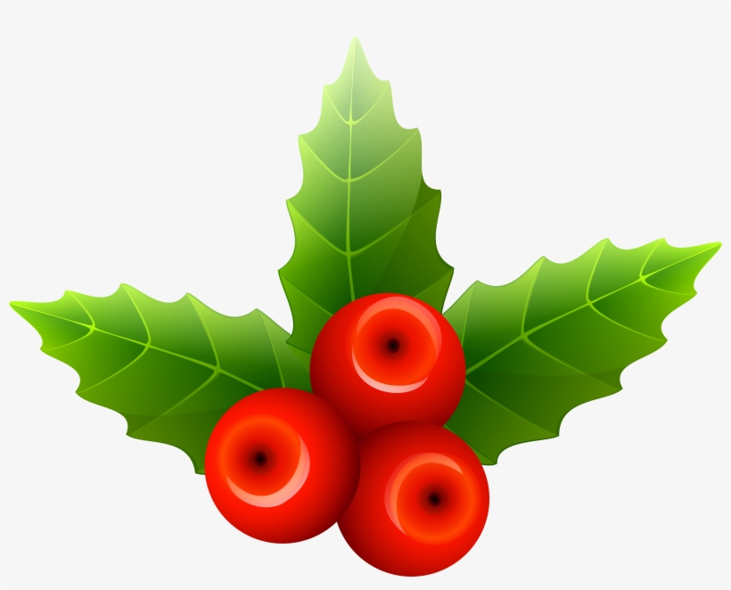 Mistletoe Png, transparent png