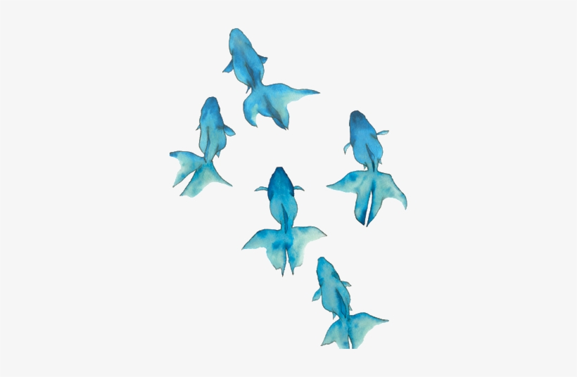 Tumblr Backgrounds Watercolor Search - Gold Fish Watercolour, transparent png