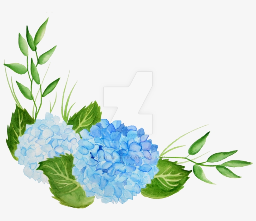 Hydrangea With Italian Crocus - Watercolor Hydrangea Png, transparent png