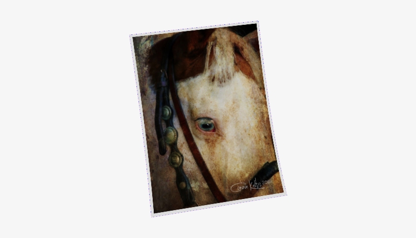 Blue Eyed Paint Horse Watercolor - Pencil Skirt, transparent png