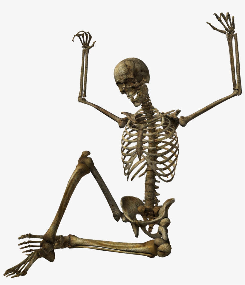 Skeleton Png Image - Скелеты Png, transparent png