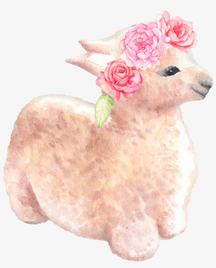 Picture Llama Graphics Baby Alpaca Original Handmade - Watercolor ...