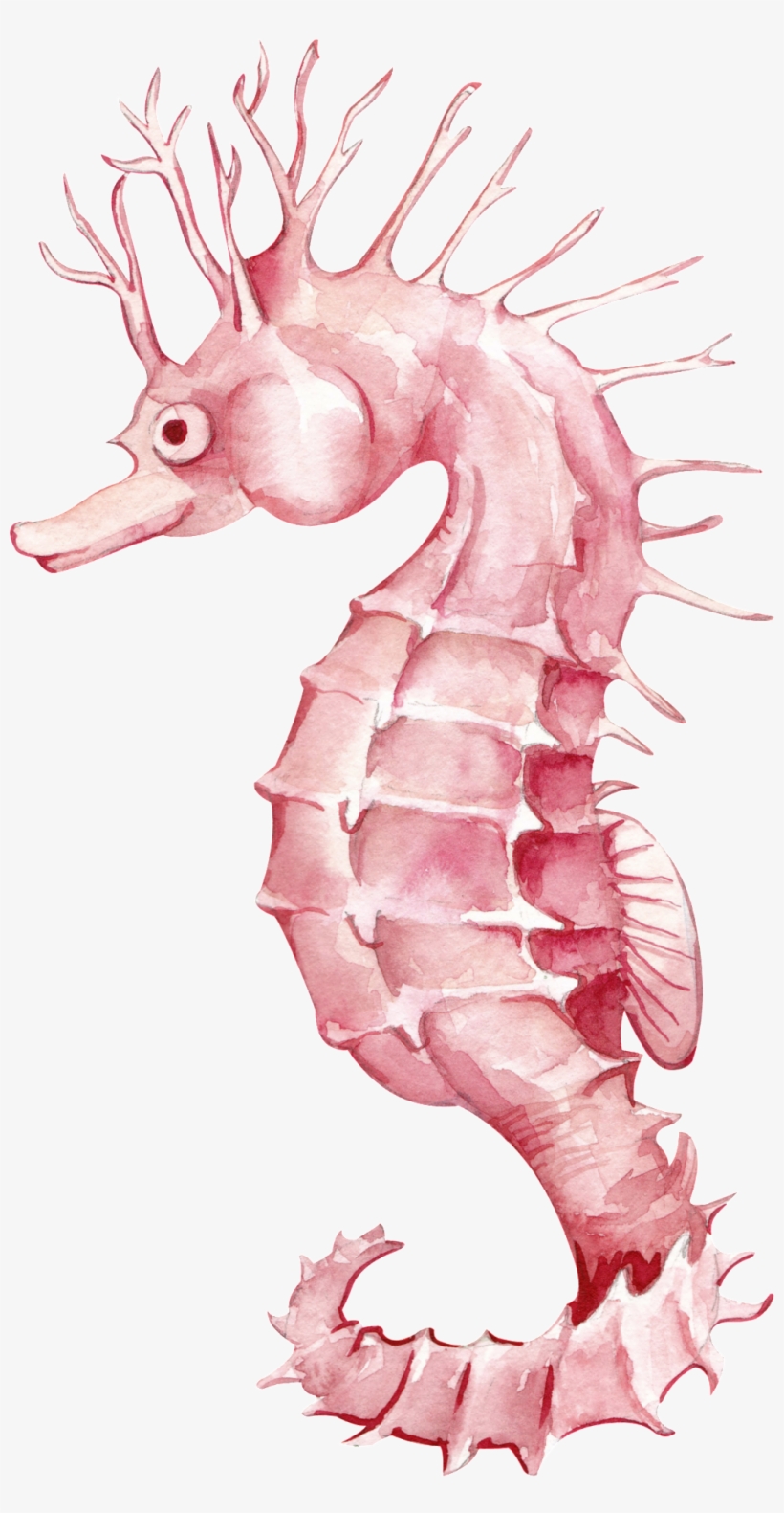 Watercolor Seahorse Cartoon Transparent - Portable Network Graphics, transparent png