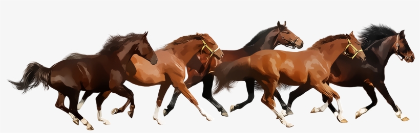 Running Horse Png - Caballos Png, transparent png