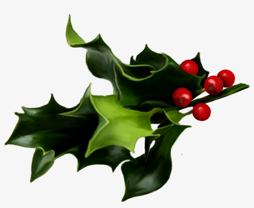 Mistletoe Png, transparent png