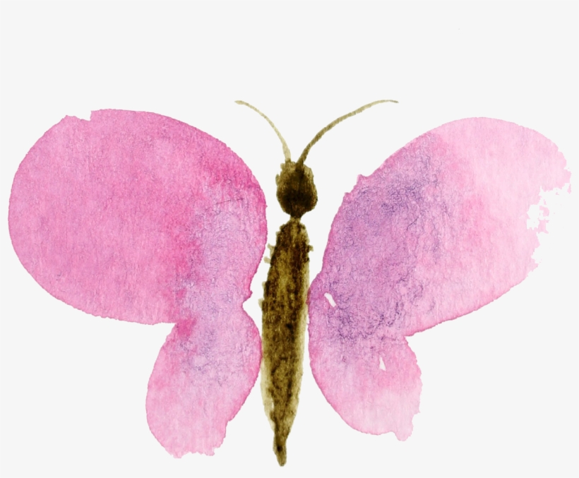 Craftberry Bush - Watercolor Clipart No Background, transparent png