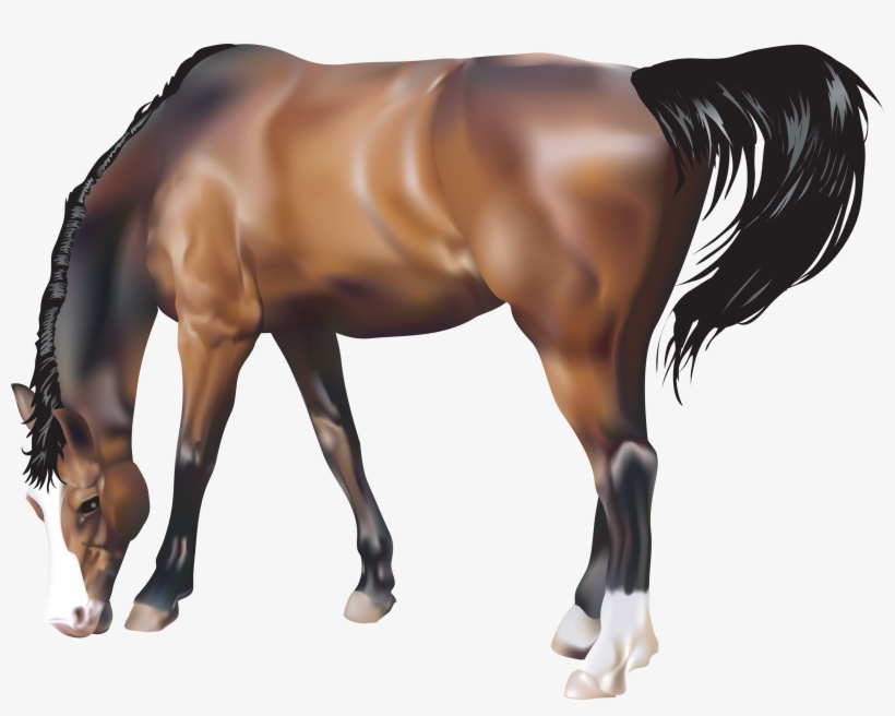Download - Animals Png Free Download, transparent png