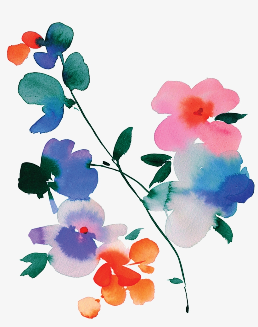 Blue Orchid - Helen Dealtry, transparent png