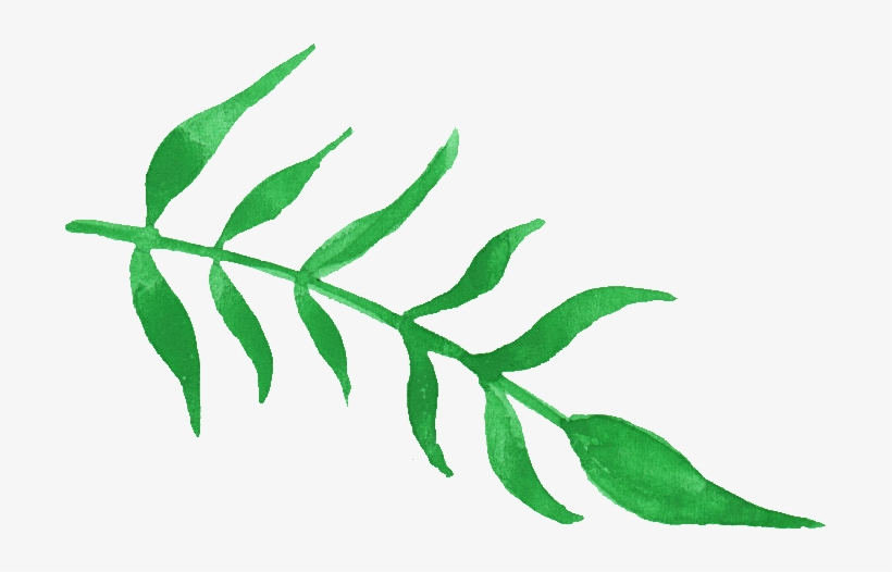 Free Download - Green Watercolor Transparents, transparent png