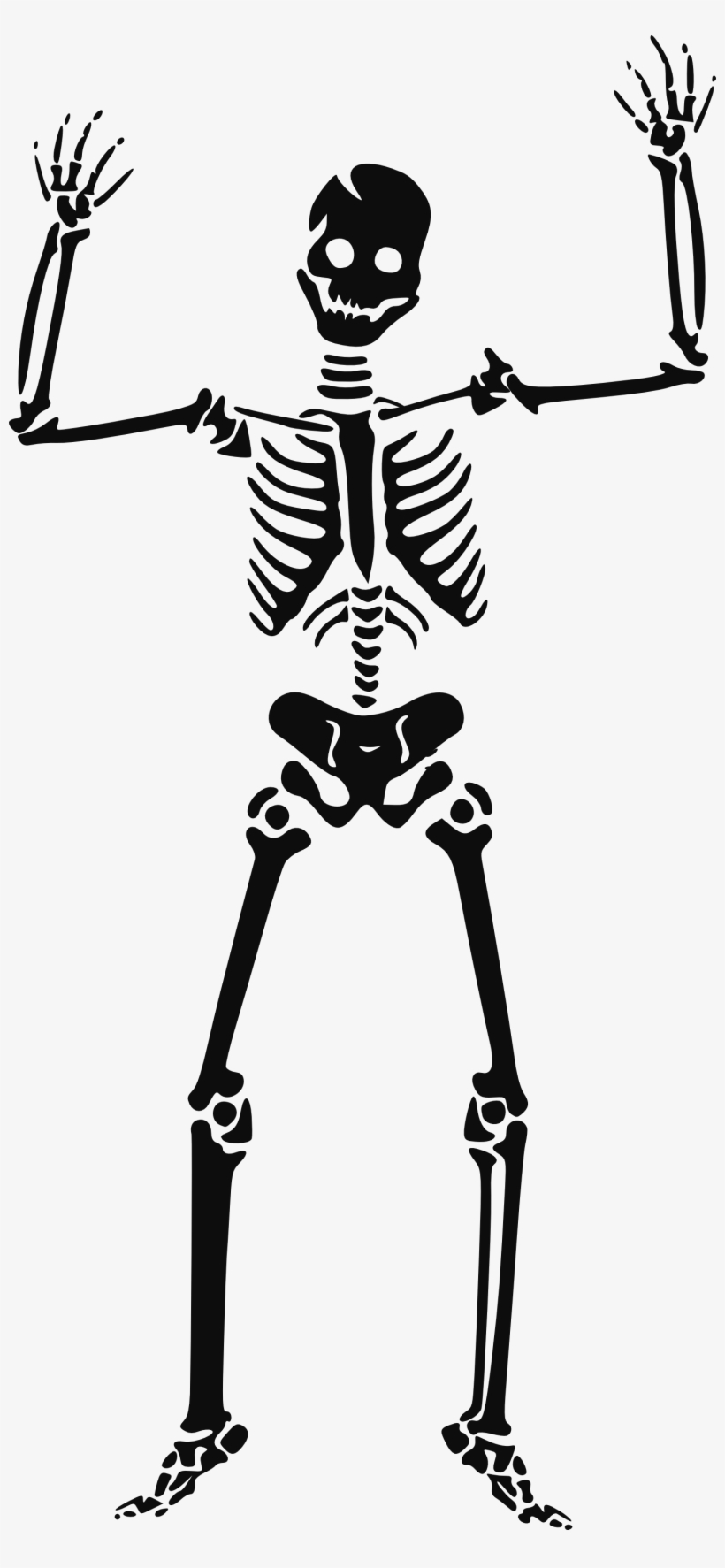 Skeleton Png - Skeleton Clipart, transparent png