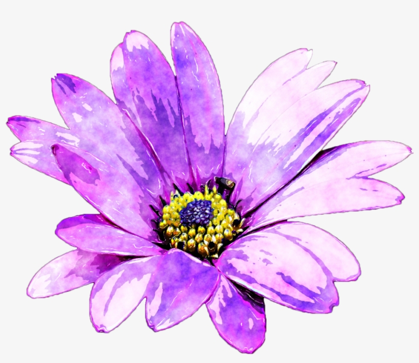Watercolour Flower Png Image Free Stock - Watercolor Purple Daisy, transparent png