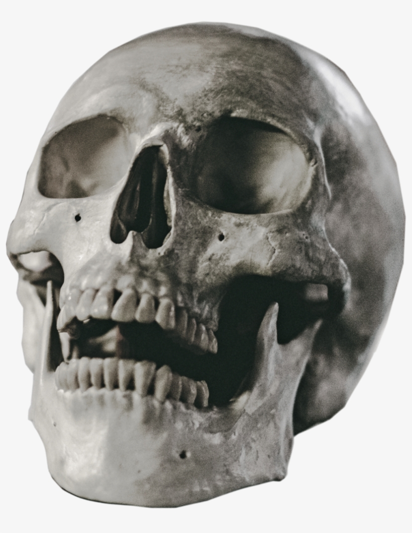 Halloween Skull Vector Free Png Background Image - Skull, transparent png