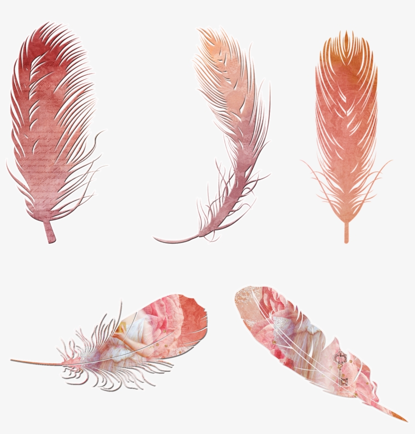 Scrapbooking, Feathers, Elements, Arrow, Bohemian - Feathers Jpg Free Clipart, transparent png