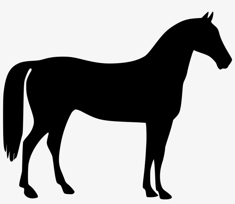 Line Clipart Horse - Horse Vector, transparent png