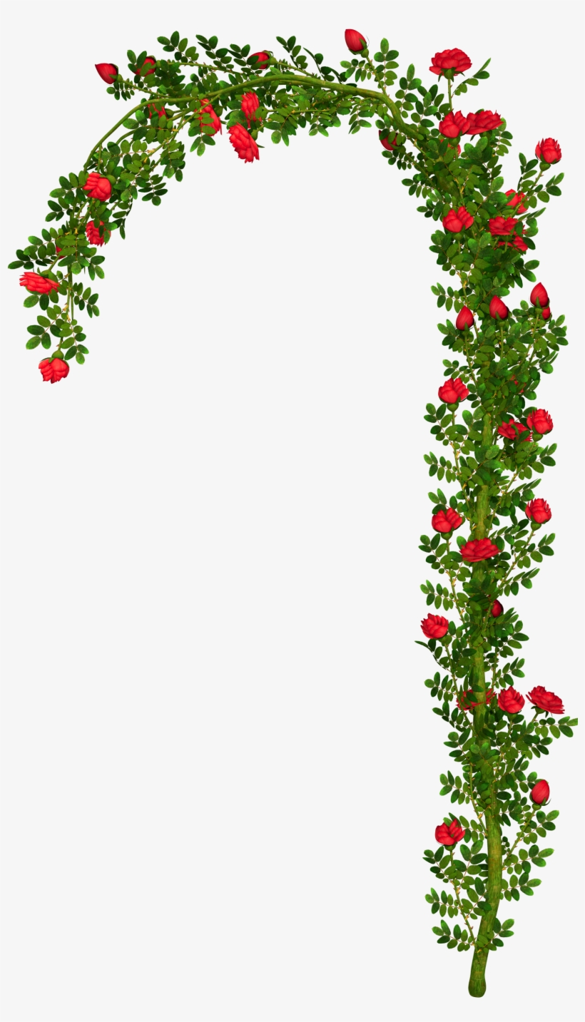 Rosebush Element Png Picture - Rose Arch Png, transparent png