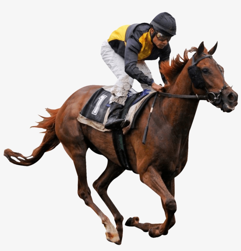 Horse Racing Png, transparent png