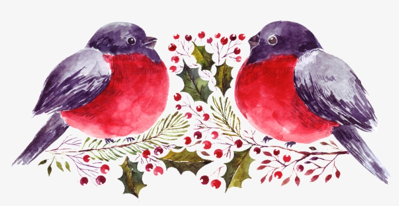 Transparent Ornamental Material For Cartoon Watercolor - Portable Network Graphics, transparent png