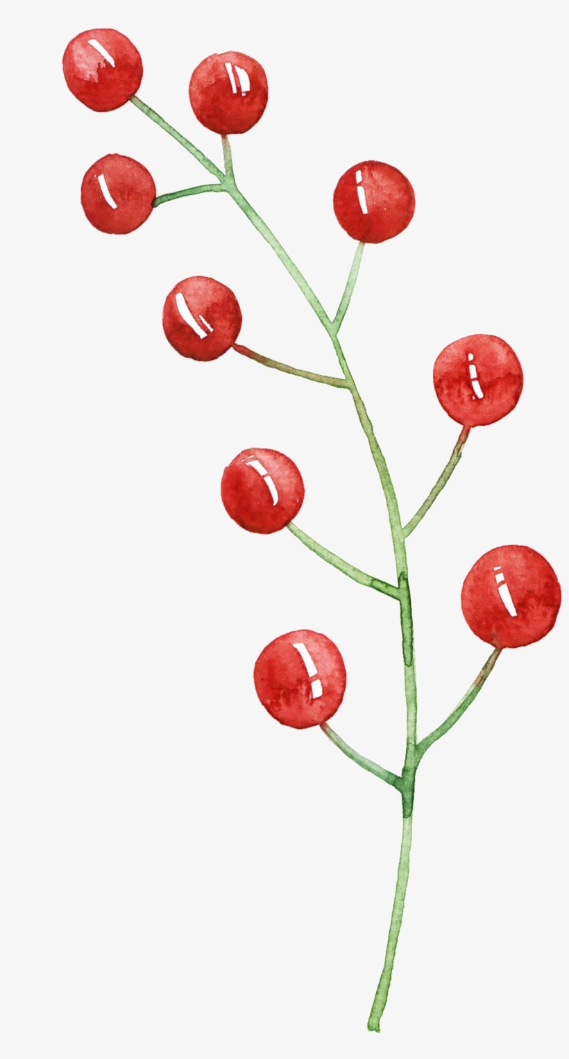 This Graphics Is Red Fruit Cartoon Transparent About - Portable Network Graphics, transparent png