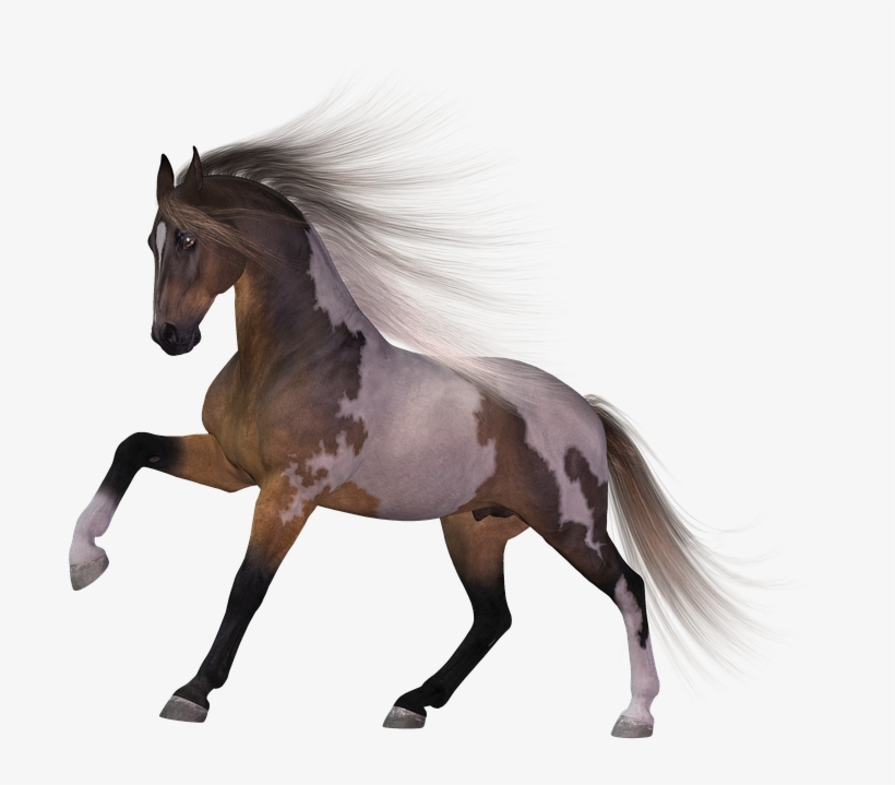 Download Horse Png Transparent Images Transparent Backgrounds - Horse, transparent png
