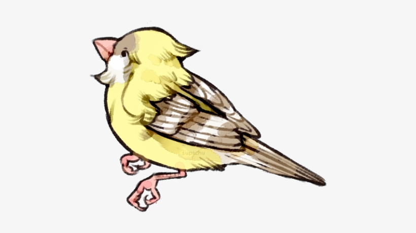 Blue Jay, transparent png