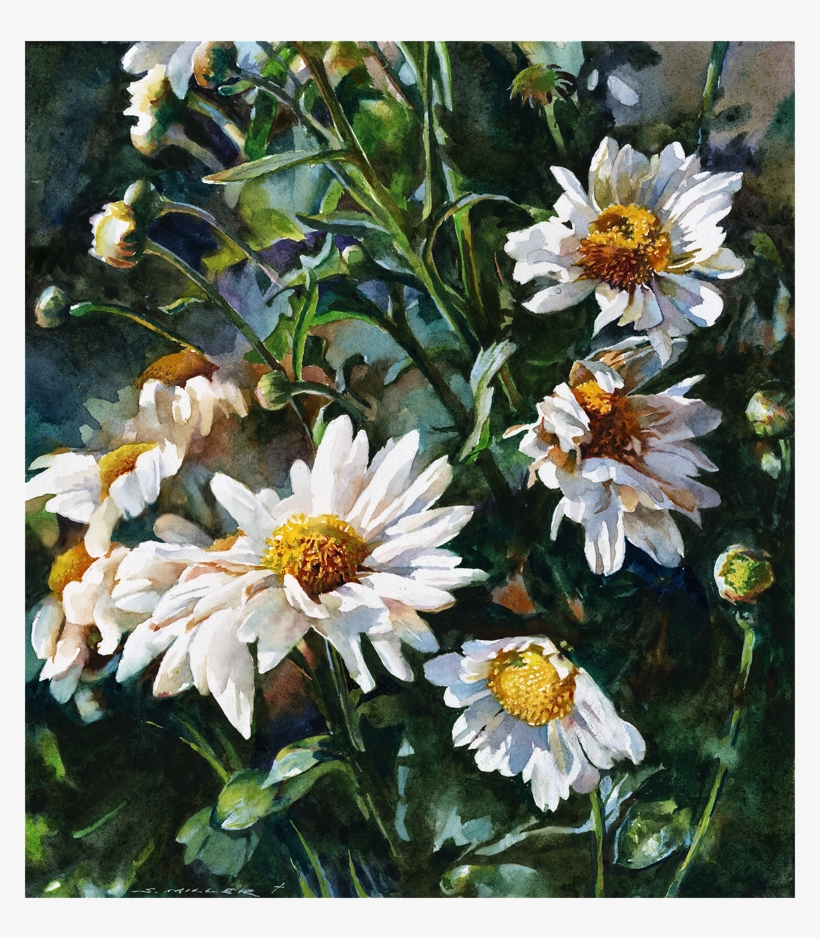 Stan Miller Beautiful Watercolor - Watercolor Painting, transparent png