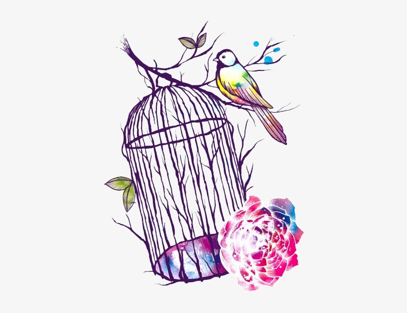 Bird Cage Shared By Cydine On We Heart It Clip Art - Perching Bird, transparent png