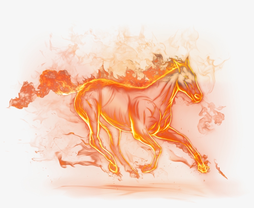 Horse Png, transparent png
